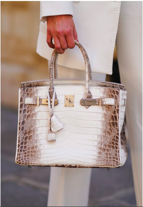 Luxury bags for luxury lifestyle mamangement
